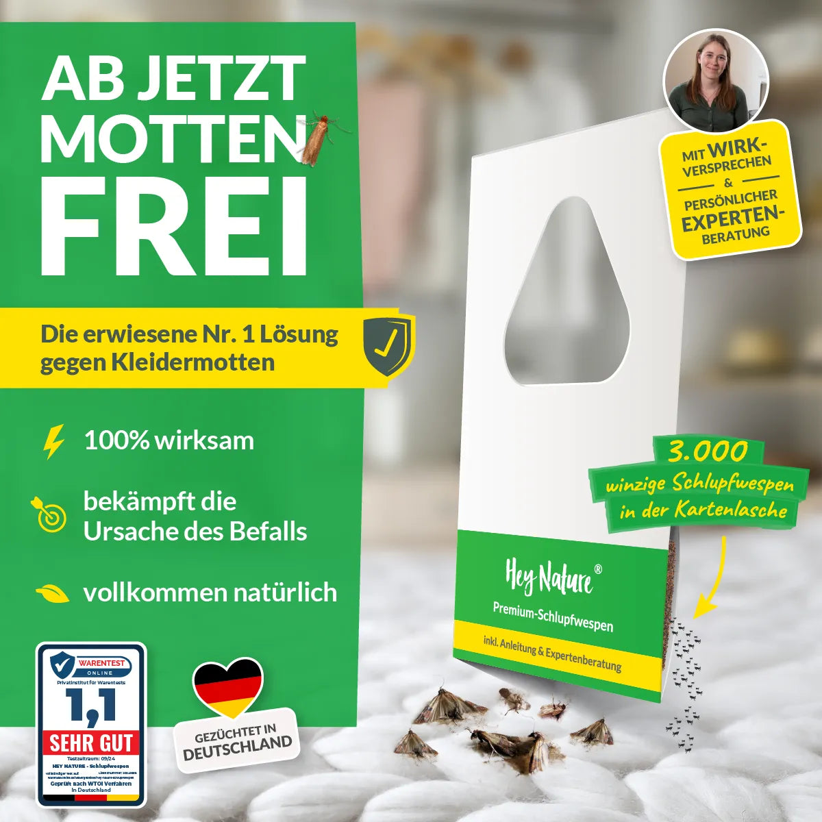 Schlupfwespen gegen Kleidermotten