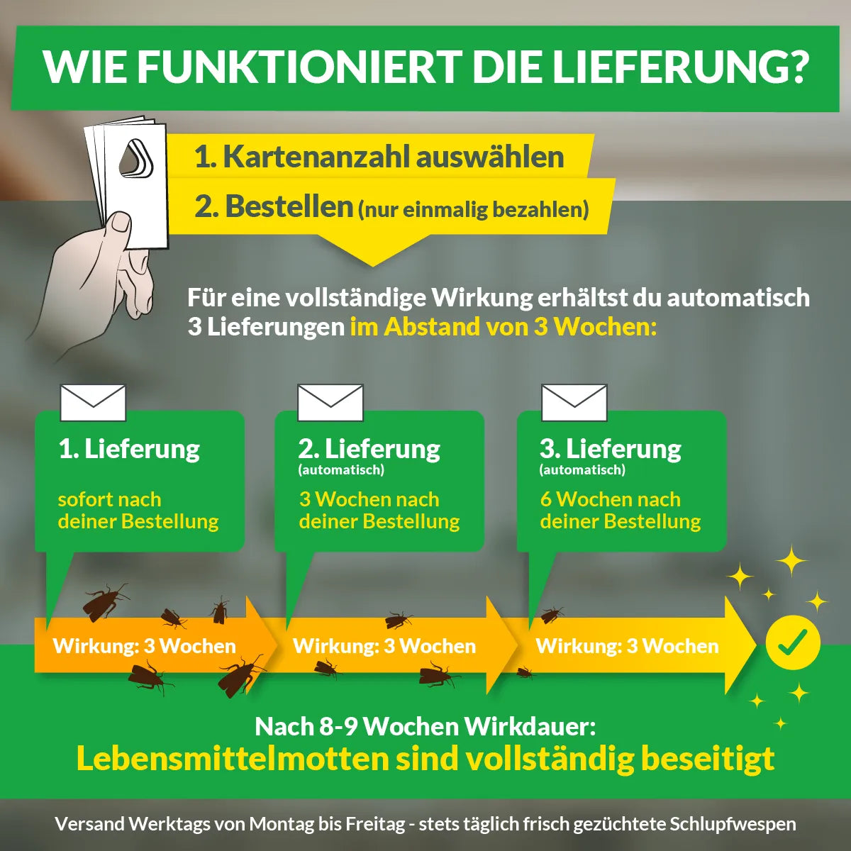 Schlupfwespen gegen Lebensmittelmotten