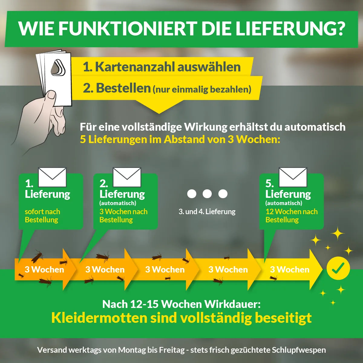 Schlupfwespen gegen Kleidermotten