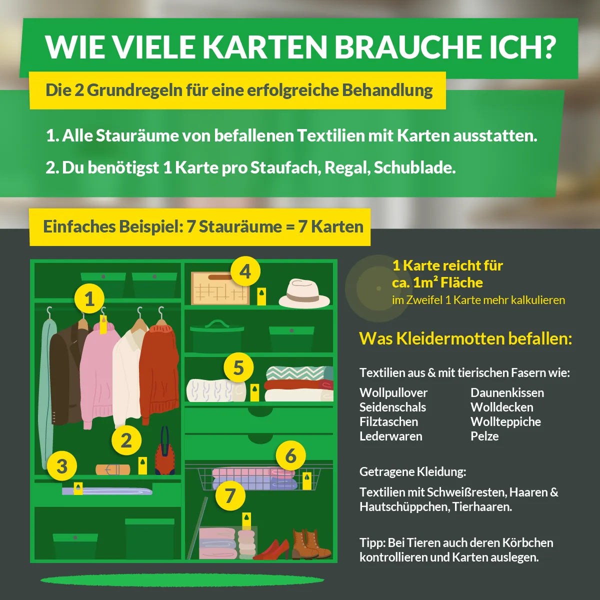 Schlupfwespen gegen Kleidermotten