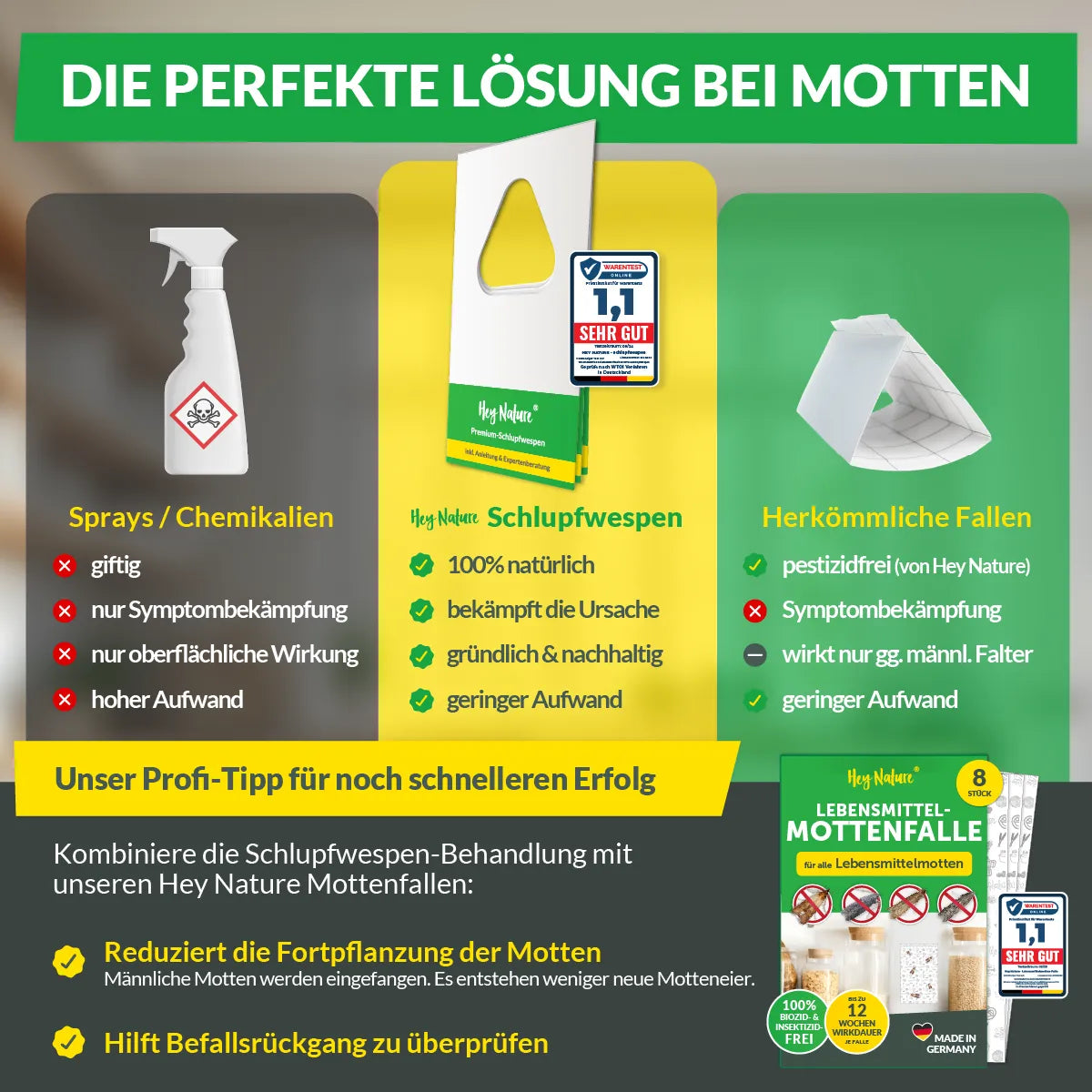 Schlupfwespen gegen Lebensmittelmotten