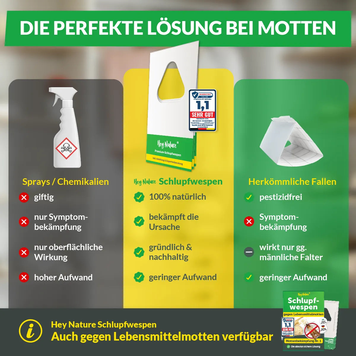 Schlupfwespen gegen Kleidermotten