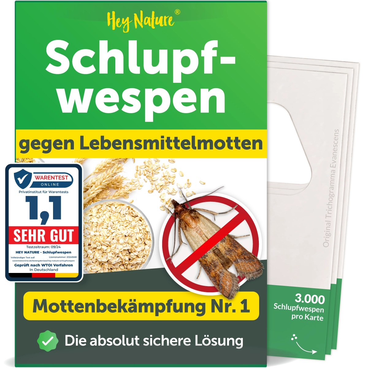 Schlupfwespen gegen Lebensmittelmotten