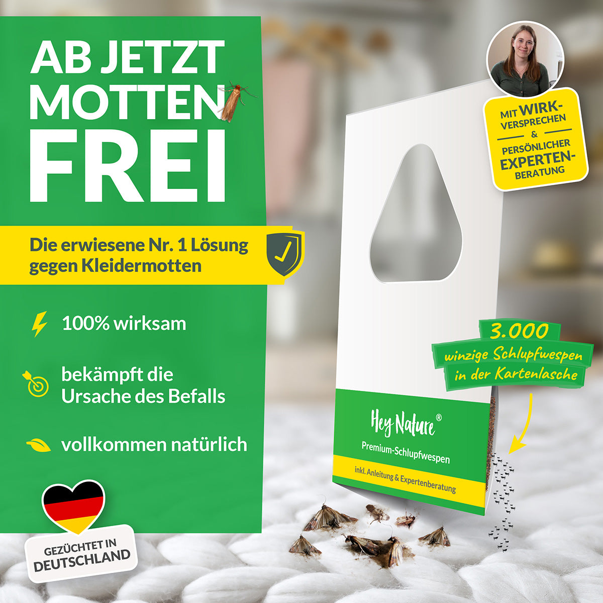 Schlupfwespen gegen Kleidermotten - die Vorteile