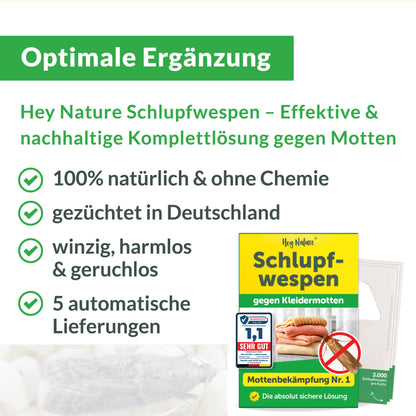 Mottenfalle gegen Kleidermotten