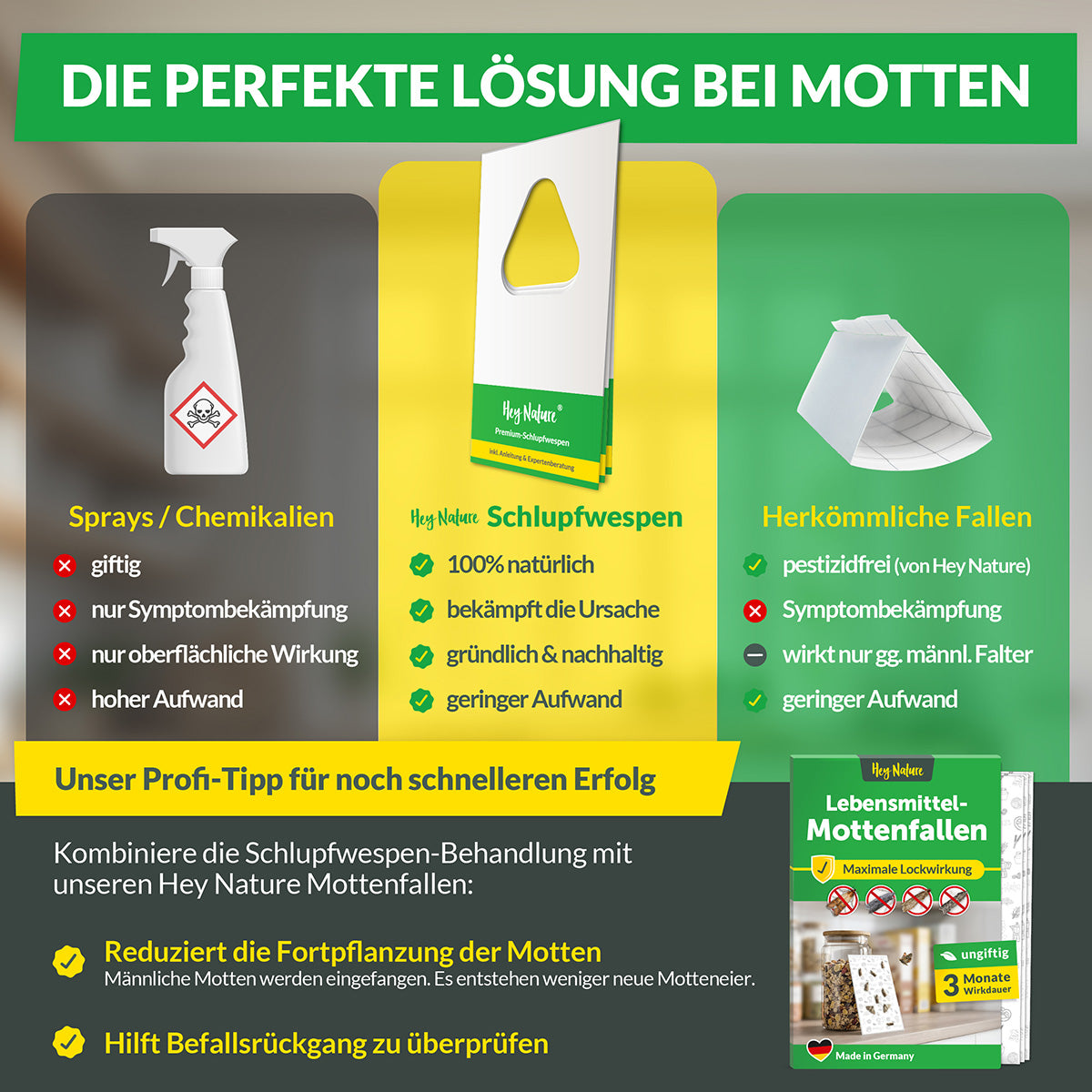 Schlupfwespen gegen Lebensmittelmotten