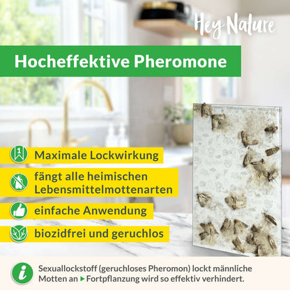 Mottenfalle gegen Lebensmittelmotten