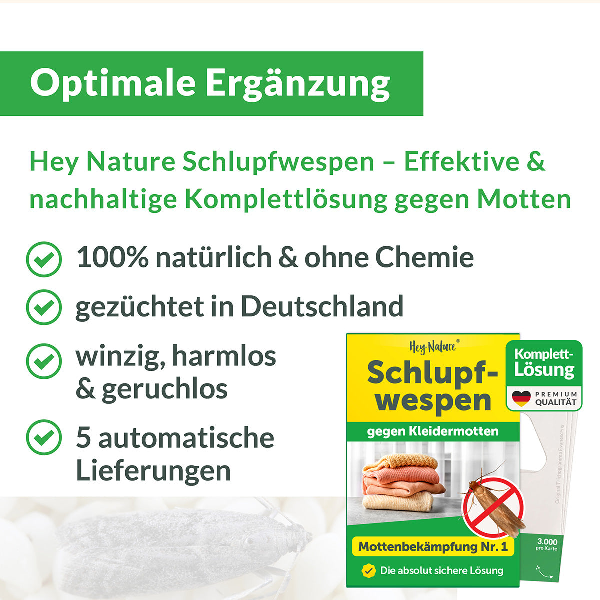 Mottenfalle gegen Kleidermotten
