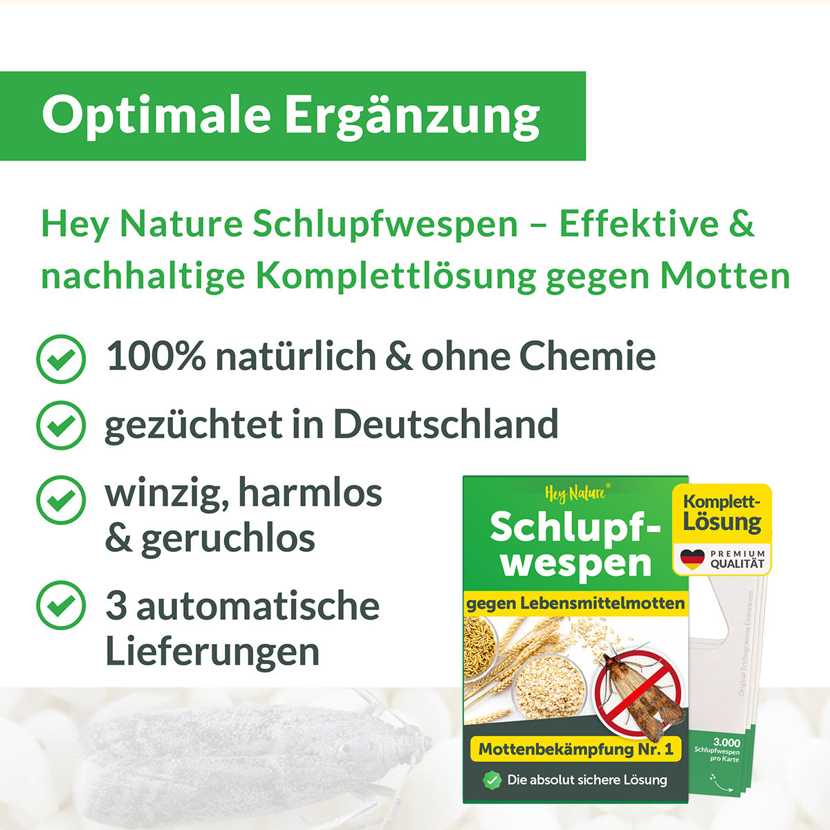 Mottenfalle gegen Lebensmittelmotten