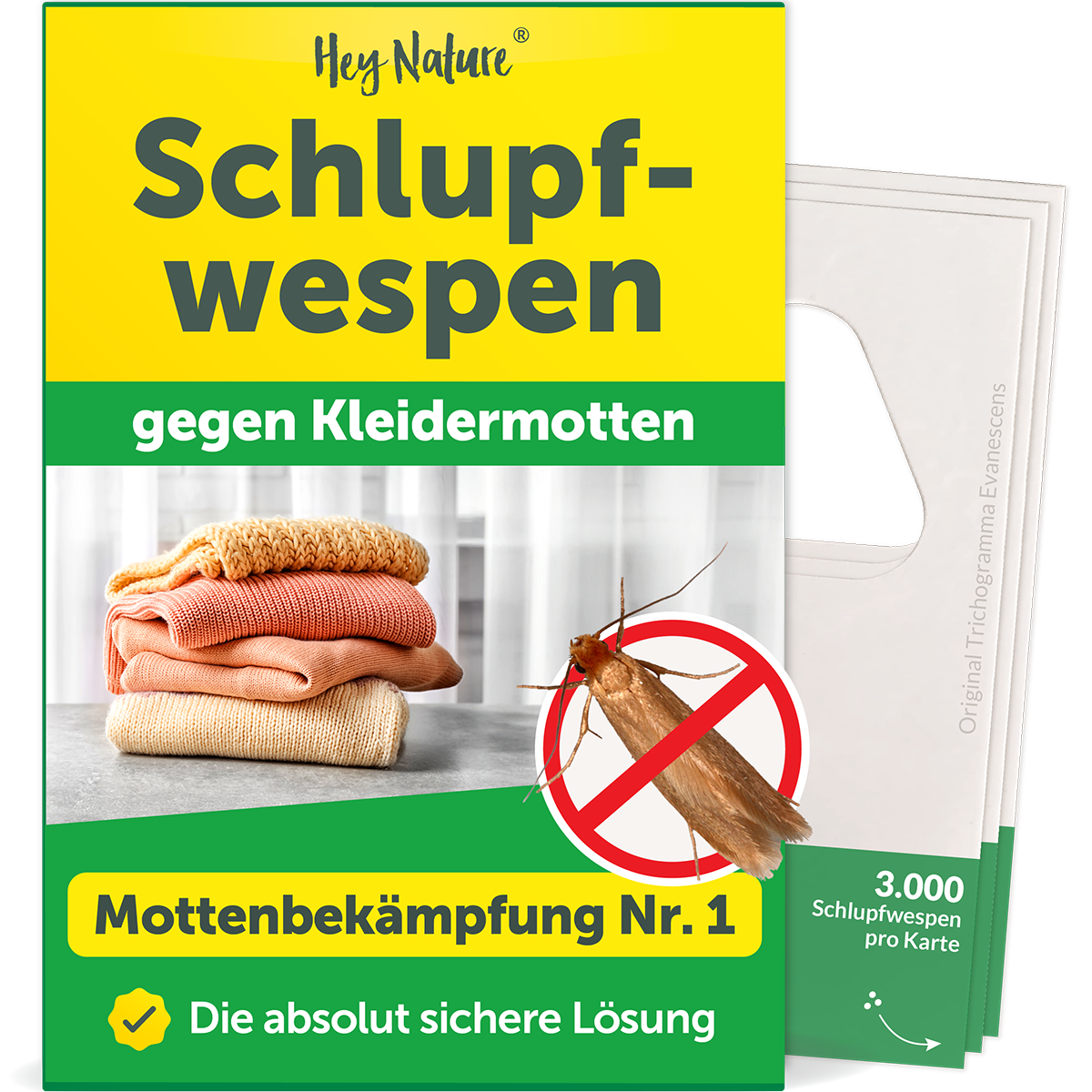 Schlupfwespen gegen Kleidermotten