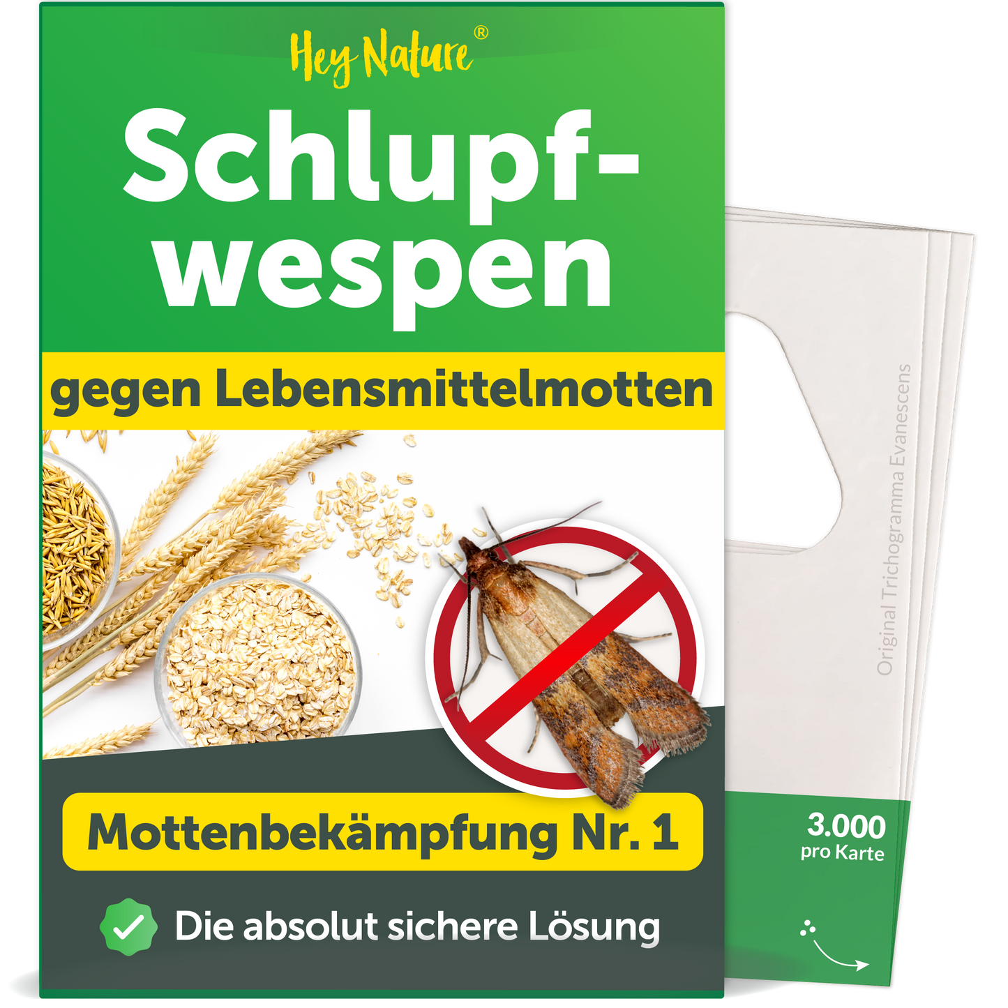 Schlupfwespen gegen Lebensmittelmotten von Hey Nature