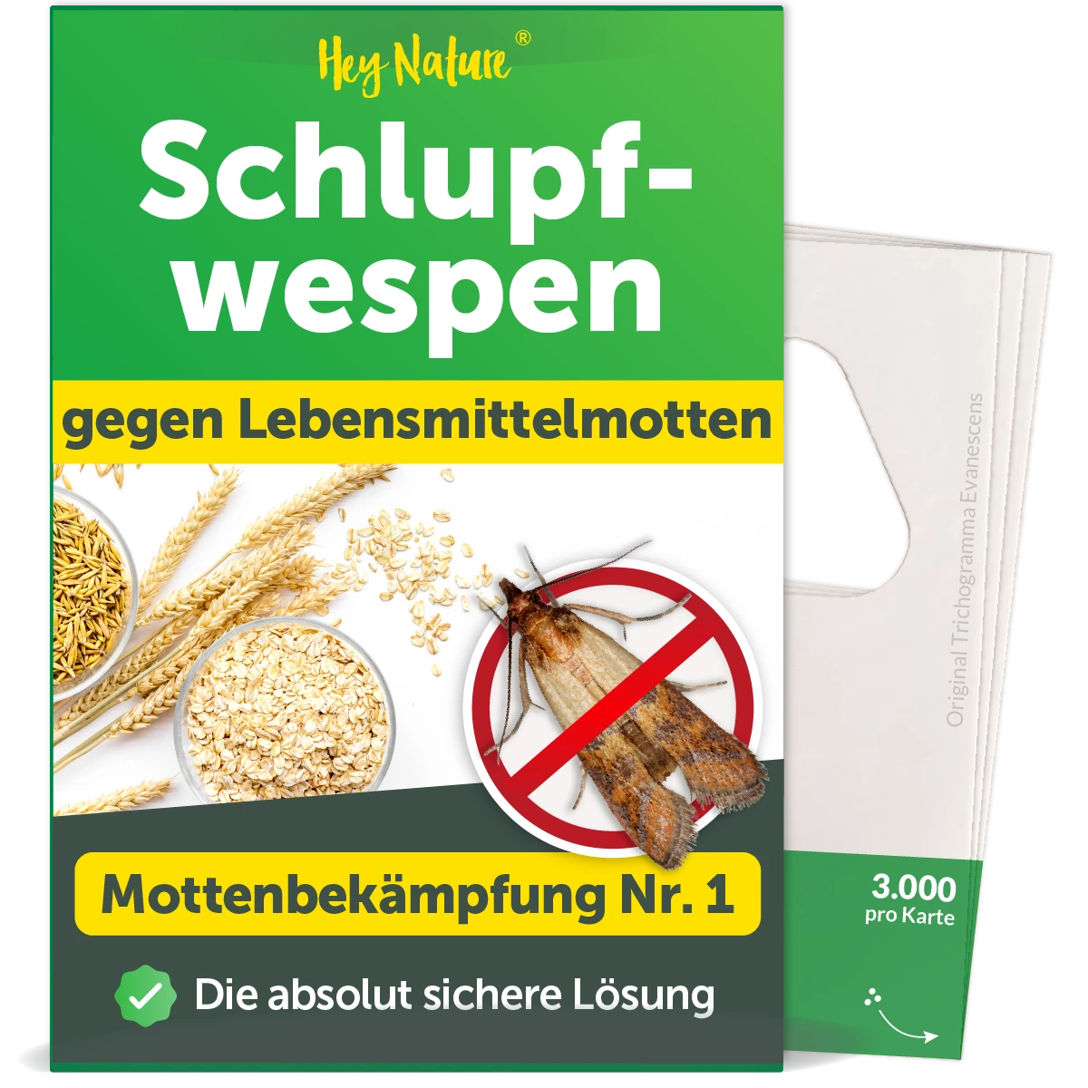 Schlupfwespen gegen Lebensmittelmotten von Hey Nature