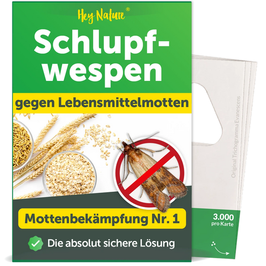 Schlupfwespen gegen Lebensmittelmotten von Hey Nature